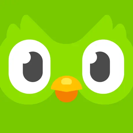 성공한 앱의시작: Duolingo